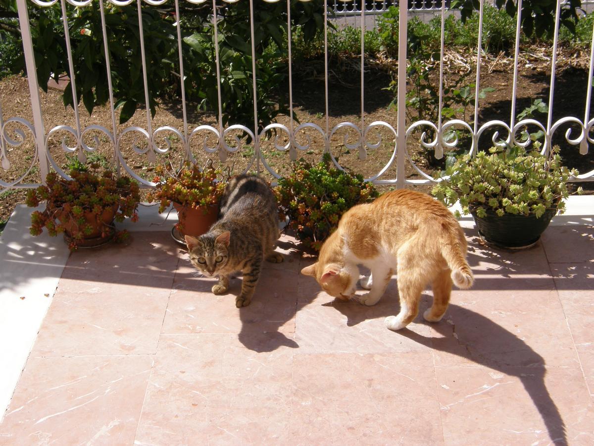 Maria Makri Apartment